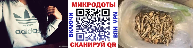 дарнет шоп  Нижний Ломов  Псилоцибиновые грибы MAGIC MUSHROOMS 